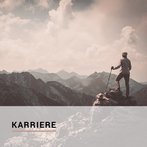 MEK | Karriere